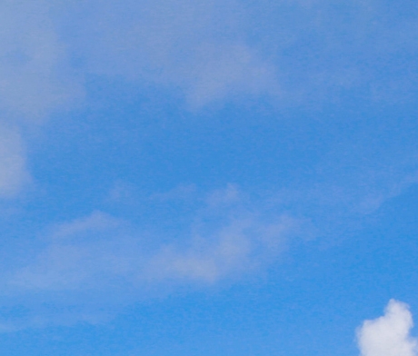 有什么可以裂变的赚钱