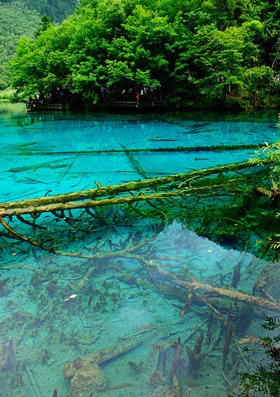 写车评的兼职在哪里