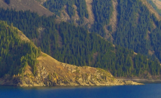 抢礼物赚钱项目叫什么