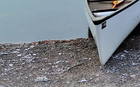 零投资赚钱项目