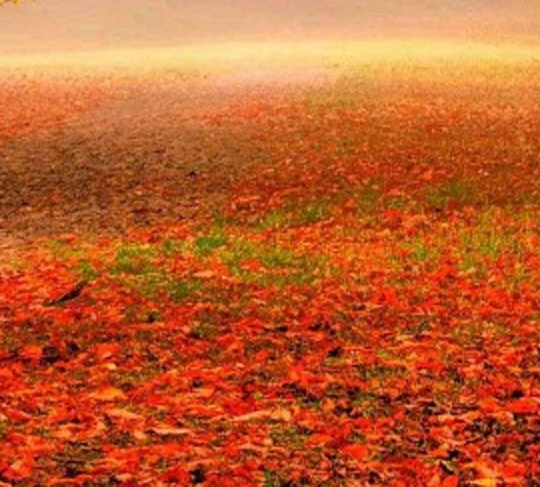 猎头赚钱方法和技巧