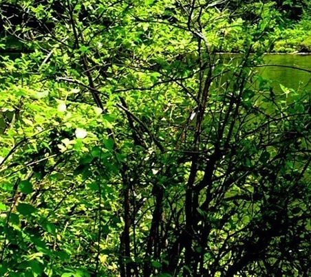 药企经营成功的案例