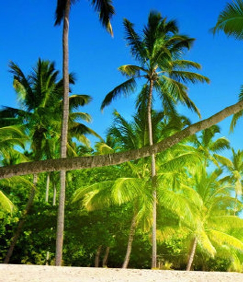 睡觉都能赚钱的方法