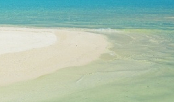 长春卖麻辣烫赚钱案例分析