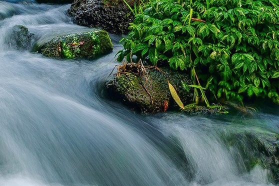 摆地摊做什么项目好