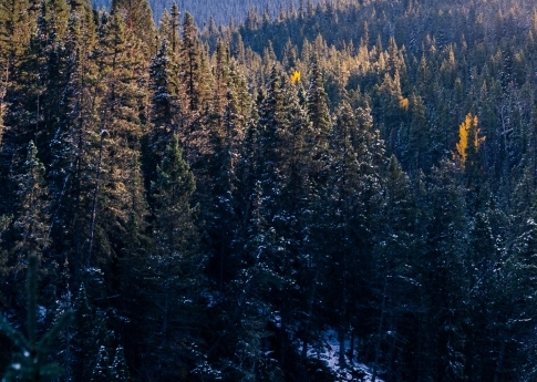 80年代水变油是怎么回事