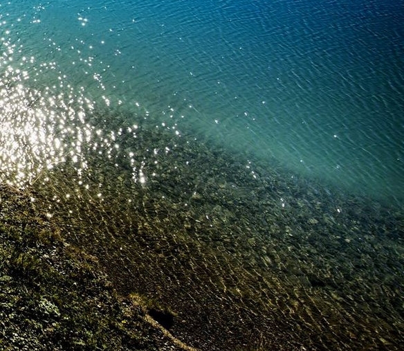 现实赚钱的项目都有哪些