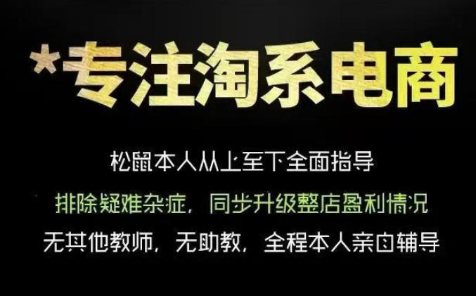 松鼠会电商VIP课程,从基础布局到高阶优化,助你掌握淘宝运营逻辑,提升店铺流量与转化(更新1022)