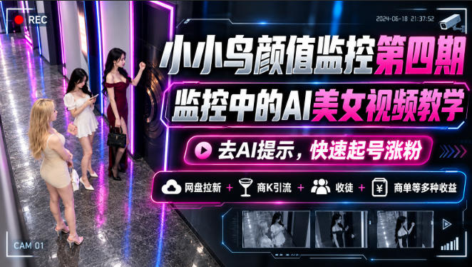 小小鸟颜值监控第四期，监控中的AI美女视频教学，去AI提示，快速起号涨粉，网盘拉新+商K引流+收徒+商单等多种收益